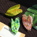 【MOQ 12 PCS】New Design Eco-Friendly Acetate Leaf Claw Clip