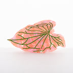 【MOQ 12 PCS】New Design Eco-Friendly Acetate Leaf Claw Clip