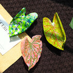 【MOQ 12 PCS】New Design Eco-Friendly Acetate Leaf Claw Clip