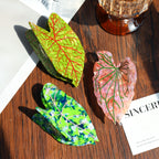 【MOQ 12 PCS】New Design Eco-Friendly Acetate Leaf Claw Clip