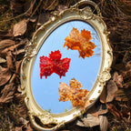 【MOQ 12 PCS】Rhinestone Maple Leaf Acetate Hair Claw, Gift Box