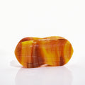 【MOQ 12 PCS】Acetate Peanut Avocado Food Hair Claw, Shark Clip