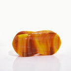 【MOQ 12 PCS】Acetate Peanut Avocado Food Hair Claw, Shark Clip