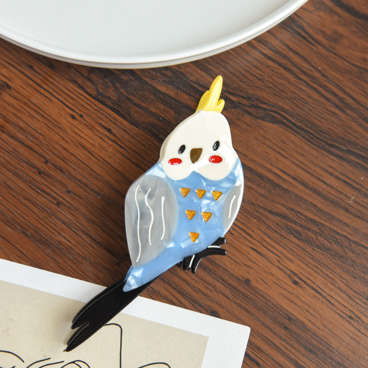 【MOQ 12 PCS】Acetate Bird Claw Clip