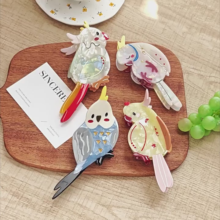 【MOQ 12 PCS】Acetate Bird Claw Clip